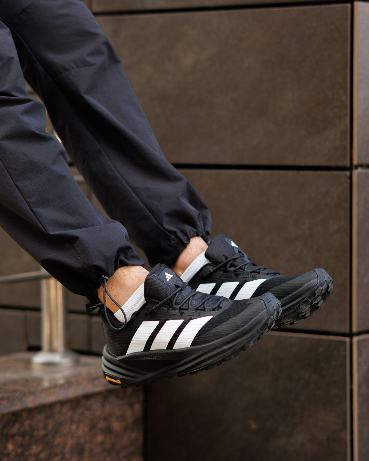 Кросівки Adidas Terrex Freehiker 3 Low Gore-Tex Black White AD123 фото