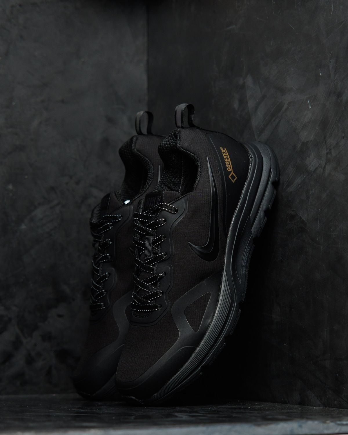 Кросівки Nike Pegasus 30 Gore-Tex Black NK384 фото