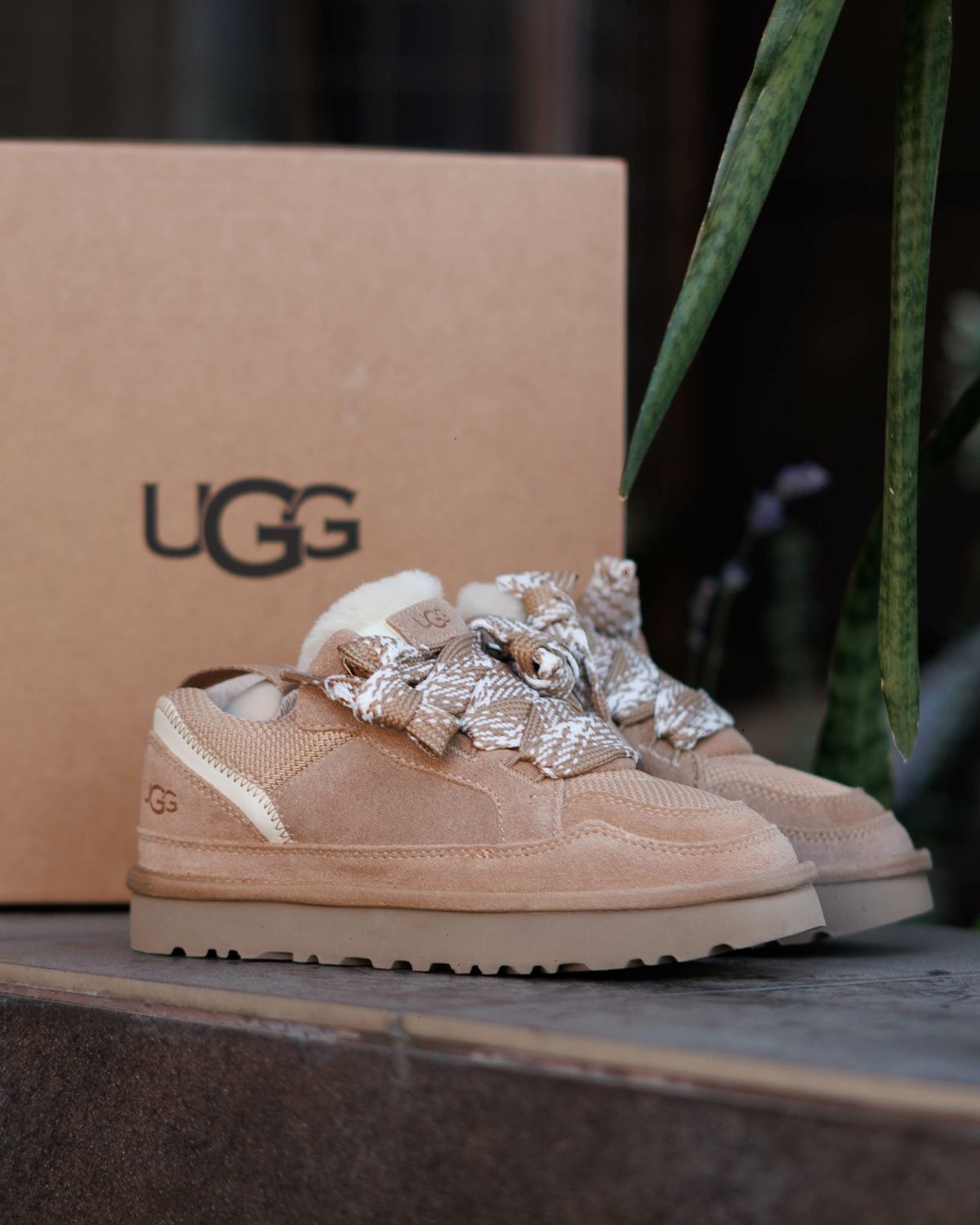 UGG Lowmel Sneaker Beige UG011 фото