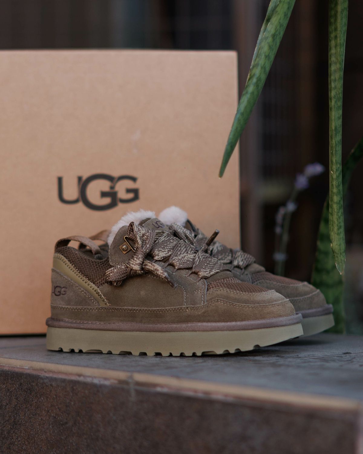 UGG Lowmel Sneaker Moss Green UG010 фото