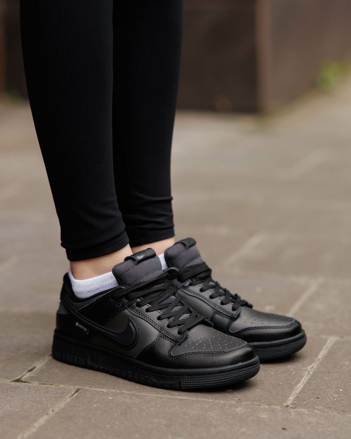 Кросівки Nike Dunk Low Gore-Tex Triple Black NK391 фото