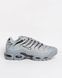 Кросівки Nike Air Max Plus Tn Grey NK371 фото 1