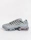 Кросівки Nike Air Max Plus Tn Grey NK371 фото 2