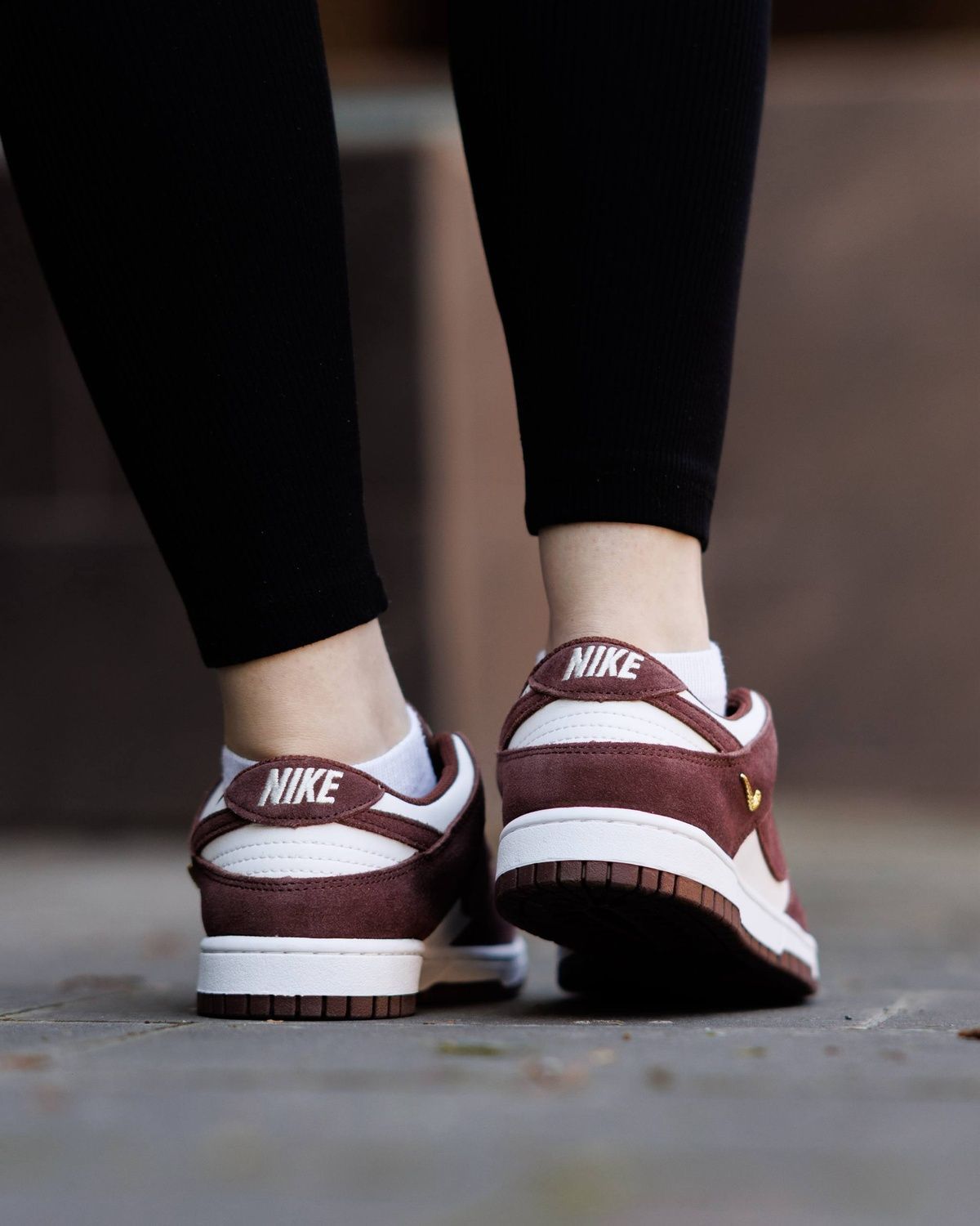 Кросівки Nike SB Dunk Low Sail Red Sepia NK368 фото