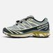 Кросівки Salomon S LAB XT-6 Dover Silver Beige SL007-45 фото 2