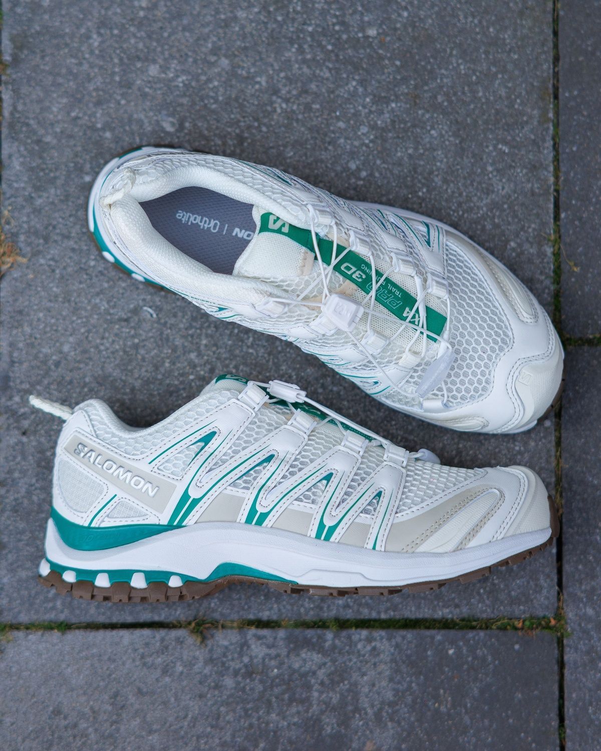 Кросівки Salomon XA PRO 3D V9 Vanilla White Green SL029 фото