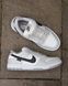 Кросівки Nike Dunk Low Gore-Tex Summit White NK389 фото 11